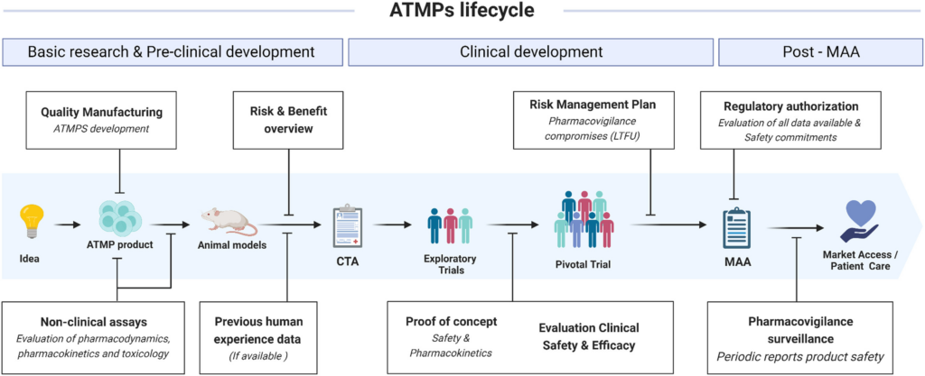Advanced Therapy Medicinal Products: Clinical Development Challenges, Regulatory Evolution, and Strategic Considerations — APICES CRO