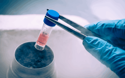 Advanced Therapy Medicinal Products: Clinical Development Challenges, Regulatory Evolution, and Strategic Considerations
