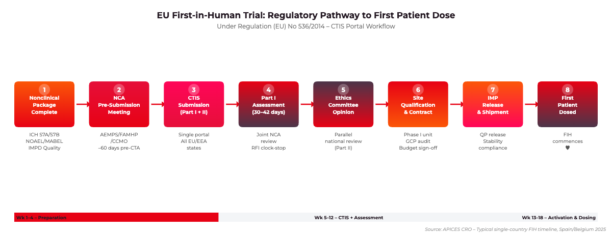 EU first-in-human trial regulatory pathway flowchart under Regulation 536/2014